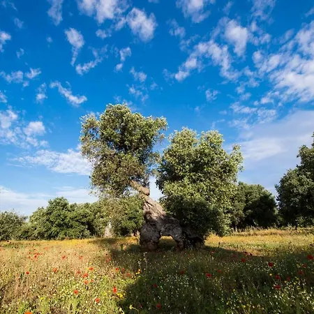 Villa Charming And Luxury Close To Ostuni